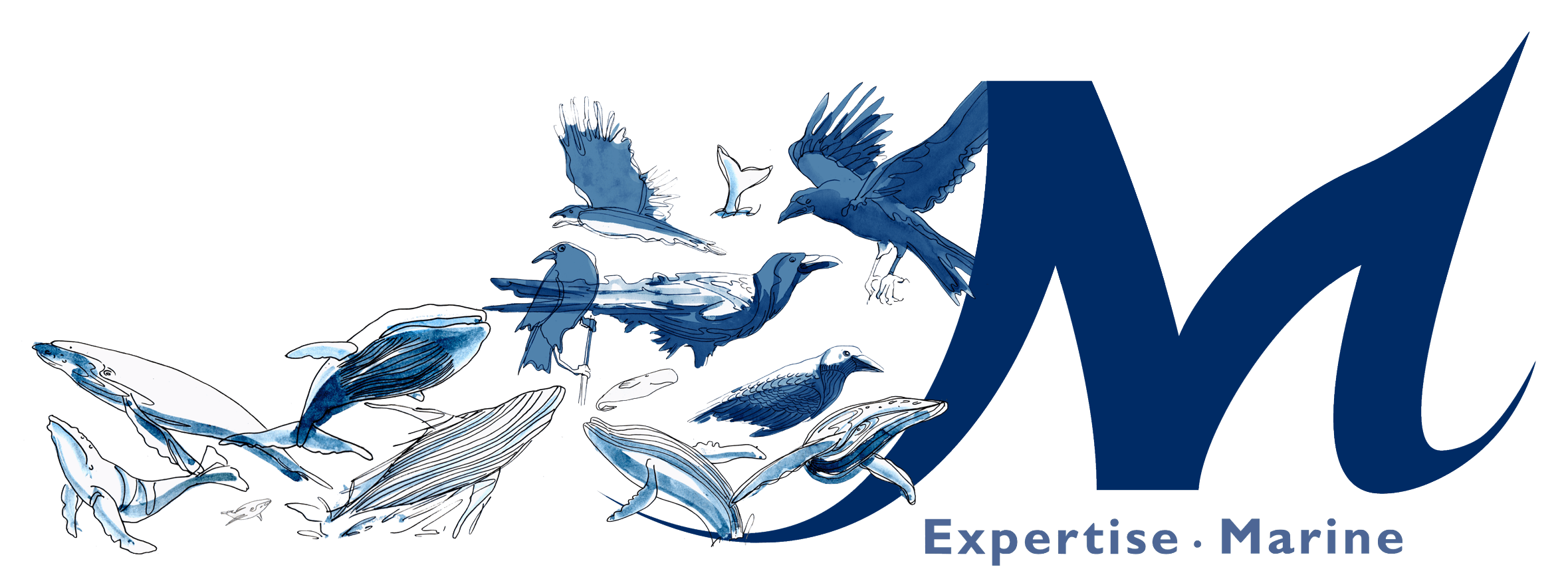 M-Expertise Marine